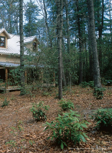 Anderson Creek floor plan